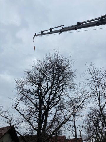 Spezial-LKW MERCEDES-BENZ Unimog U 423