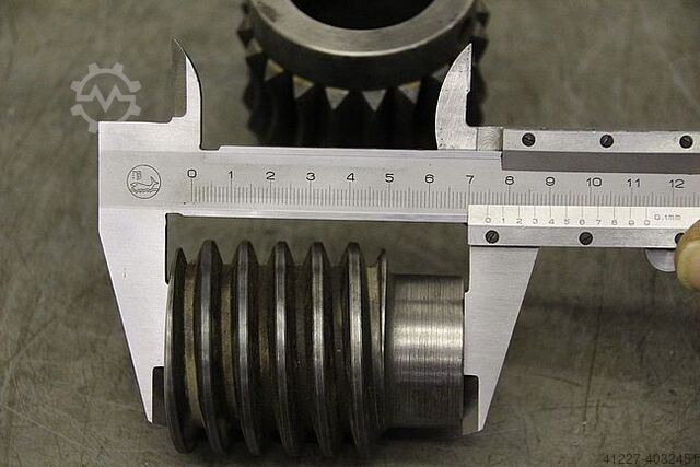 Worm wheel and gear set Ehemann für Oszillation