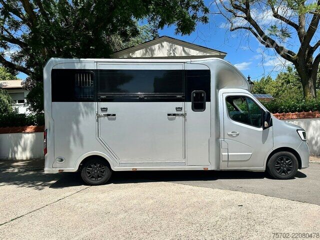 Van Renault Master 1-2 Pferde Hengsttrennung