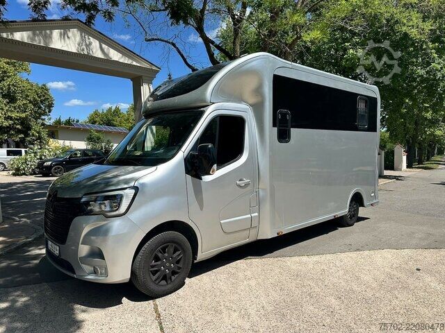 Van Renault Master 1-2 Pferde Hengsttrennung