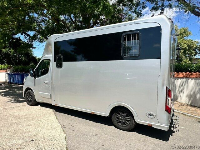 Van Renault Master 1-2 Pferde Hengsttrennung