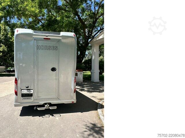 Van Renault Master 1-2 Pferde Hengsttrennung