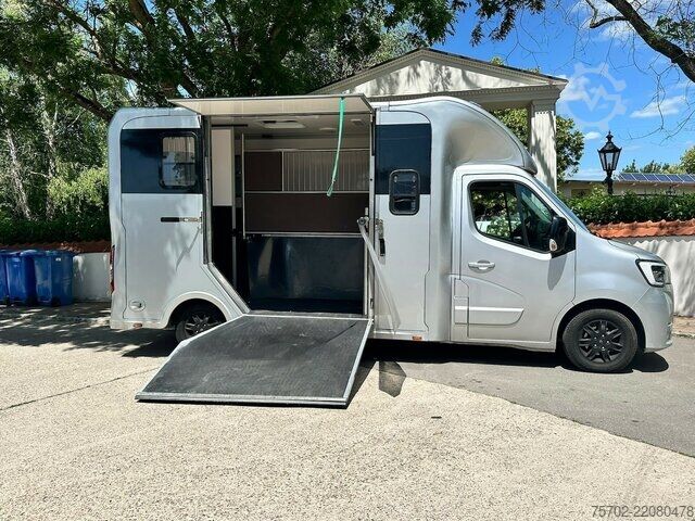 Van Renault Master 1-2 Pferde Hengsttrennung