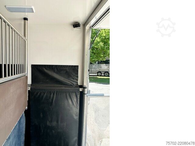 Van Renault Master 1-2 Pferde Hengsttrennung