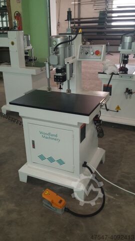 20-90-541 Multi spindle drilling mach WOODLAND MACHINERY