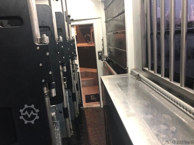 Cattle truck MERCEDES-BENZ ANTOS 1830 STX . POP-OUT 5 Pferde