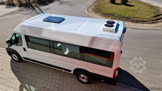 Minibus 2 x Opel Movano, 3 x Fiat Ducato 18 Sitzer Jumpe