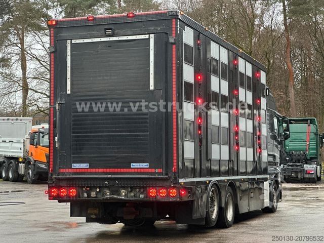 Viehtransporter LKW MAN TGX 26.500 4. Stock Menke-Janzen Viehtransporter