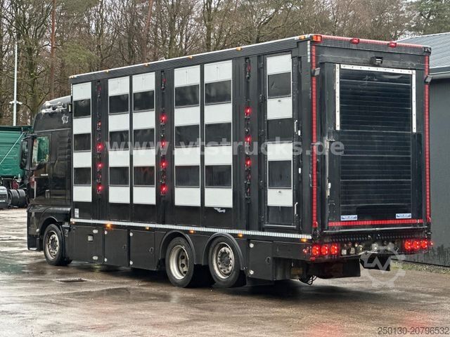Viehtransporter LKW MAN TGX 26.500 4. Stock Menke-Janzen Viehtransporter