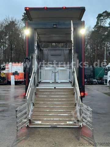 Viehtransporter LKW MAN TGX 26.500 4. Stock Menke-Janzen Viehtransporter