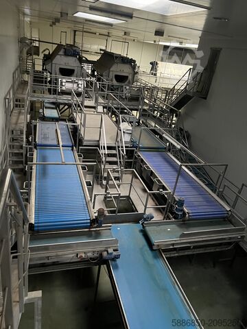 Linie zum Waschen und Verpacken von Karotten  