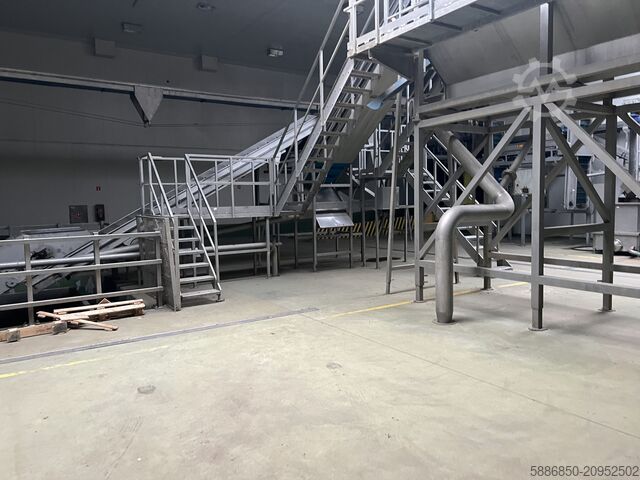 Carrot washing and packing line