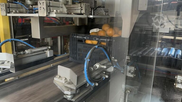 2016 Case packing systems Case packing systems