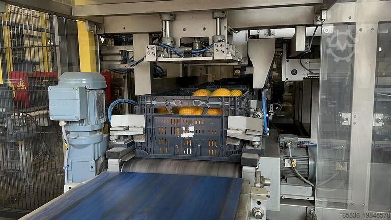 2016 Case packing systems Case packing systems