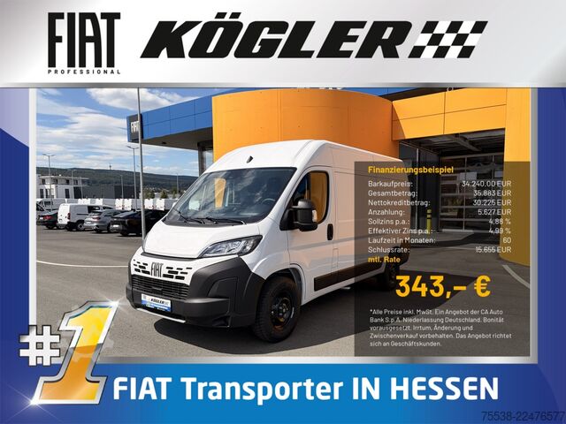Kastenwagen hoch Fiat Ducato