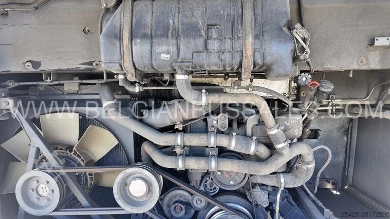 Intercitybus Mercedes Intouro E / 13.0m /