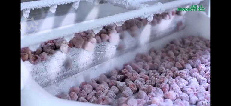 IQF Freezer - nitrogen tunnel Air Products IQF Freezer Stikstofvriezer – Freshline