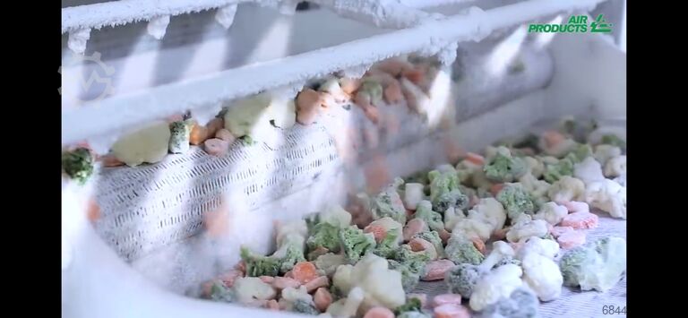 IQF Freezer - nitrogen tunnel Air Products IQF Freezer Stikstofvriezer – Freshline