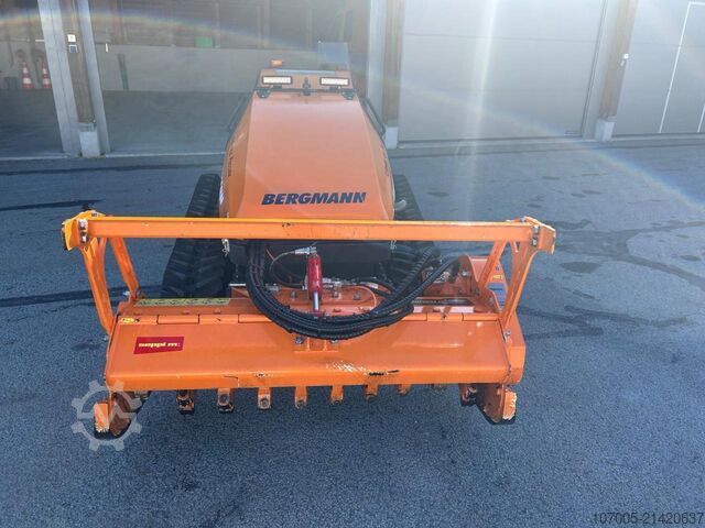 Other Bergmann Mähraupe M 201 mit Zubehör