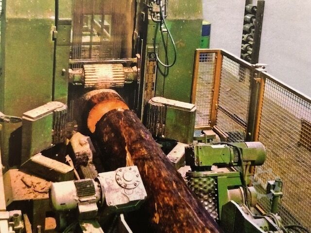 Automatische Gatteranlage  mit Einzug ZE EWD HDN 600 mit ZE HDN 600 mit ZE - F