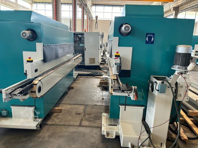 CELASCHI(SCM)4-SIDED SIZING-SHAPING LINE CELASCHI (SCM Group) TSA 480 + TSA 360