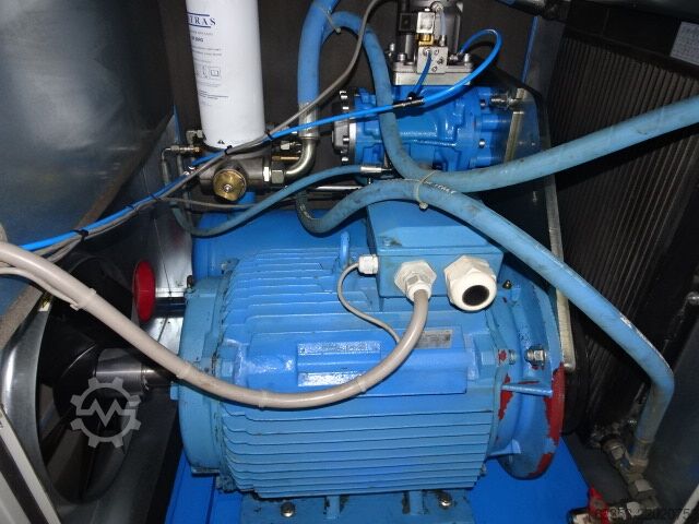 Screw compressor ALMIG Belt 22-10