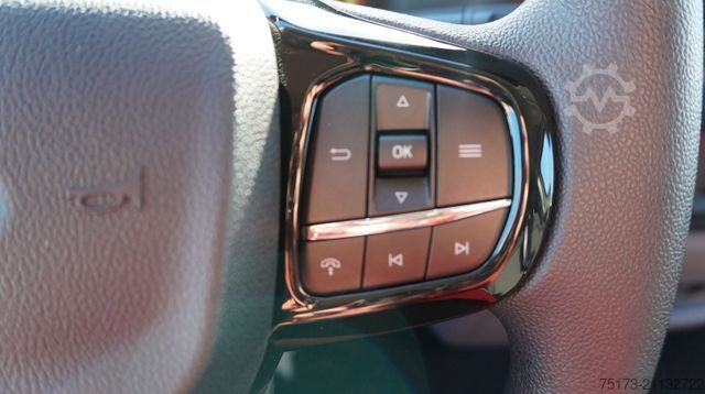 Kastenwagen FORD Transit Custom 320L1 Kasten Trend 2.5L PHEV Kam