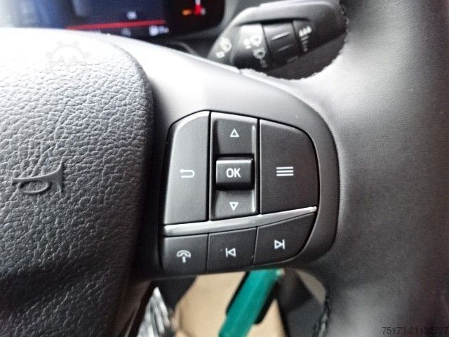 Kastenwagen hoch FORD Transit L3H3 Trend 121kw AT Stndhz 2xSTür 360Kam