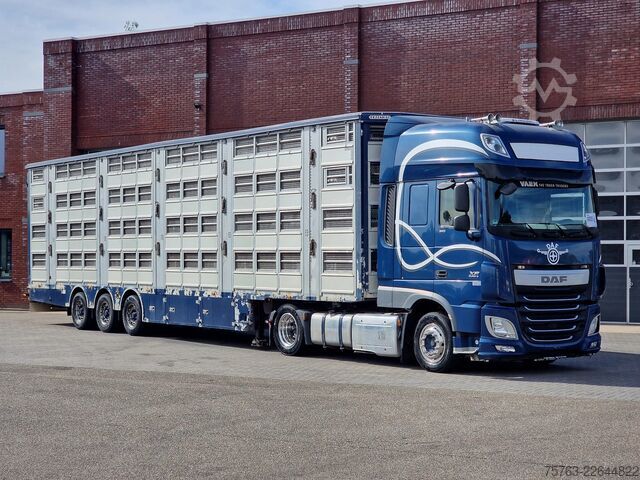 Viehtransport Pezzaioli + Daf XF - 3/4 deck livestock - 134.8m2 - Water...
