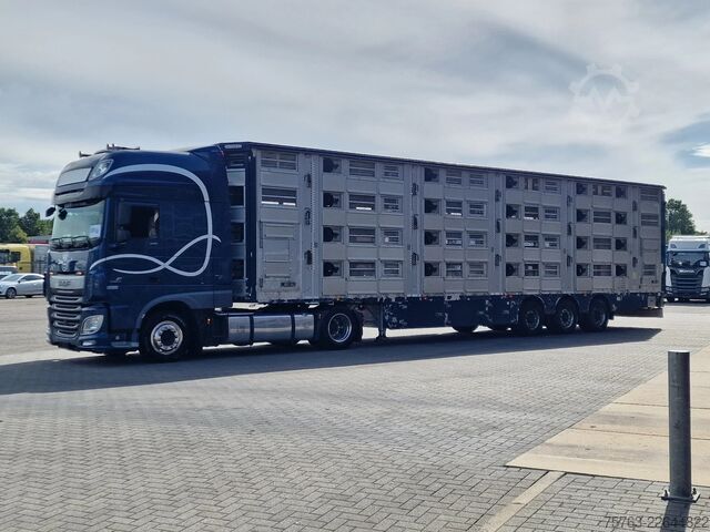 Viehtransport Pezzaioli + Daf XF - 3/4 deck livestock - 134.8m2 - Water...