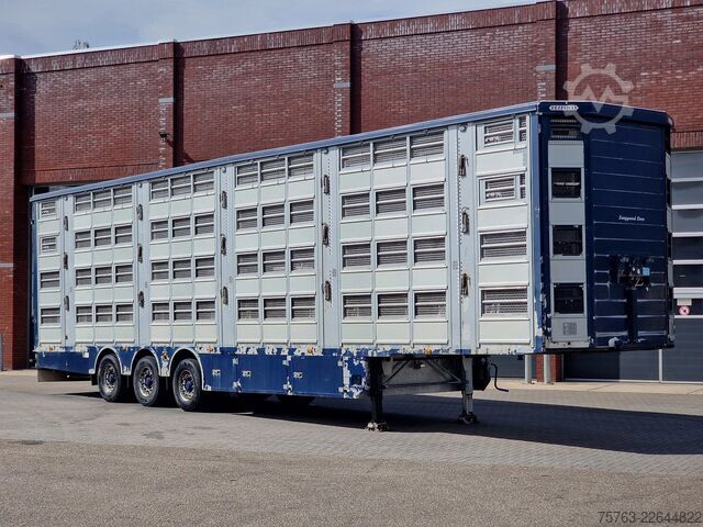 Viehtransport Pezzaioli + Daf XF - 3/4 deck livestock - 134.8m2 - Water...