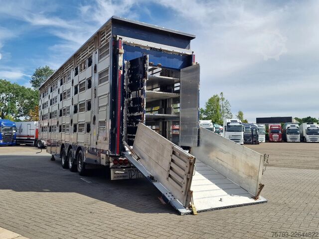 Viehtransport Pezzaioli + Daf XF - 3/4 deck livestock - 134.8m2 - Water...
