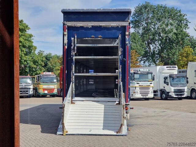 Viehtransport Pezzaioli + Daf XF - 3/4 deck livestock - 134.8m2 - Water...