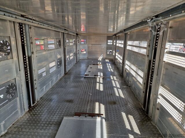 Viehtransport Pezzaioli + Daf XF - 3/4 deck livestock - 134.8m2 - Water...