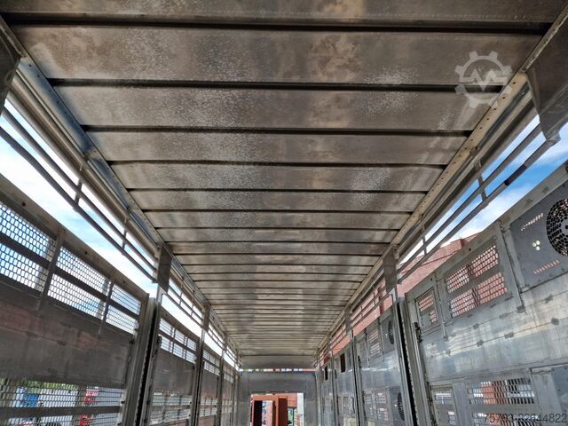 Viehtransport Pezzaioli + Daf XF - 3/4 deck livestock - 134.8m2 - Water...