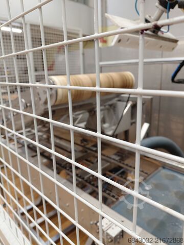 Depanner (machine for removing products from molds or trays) Pro-Tot 