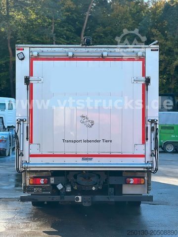 Cattle truck DAF LF 280 4x2 Köstner 1.Stock Aufbau