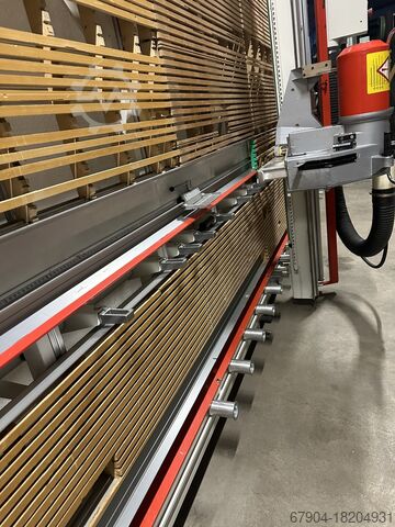 Plattensäge stehend Striebig Standard 3