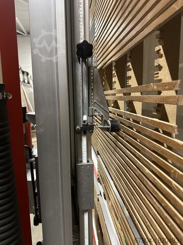 Plattensäge stehend Striebig Standard 3