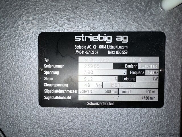 Plattensäge stehend Striebig Standard 3