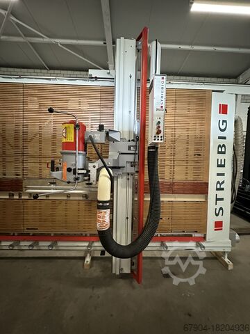 Plattensäge stehend Striebig Standard 3