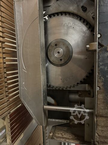 Plattensäge stehend Striebig Standard 3