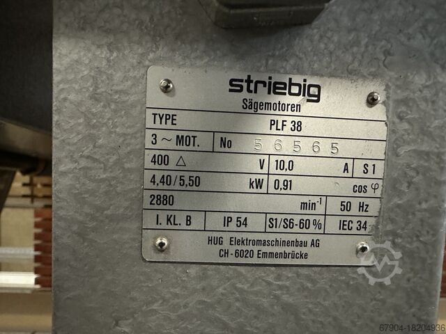 Plattensäge stehend Striebig Standard 3