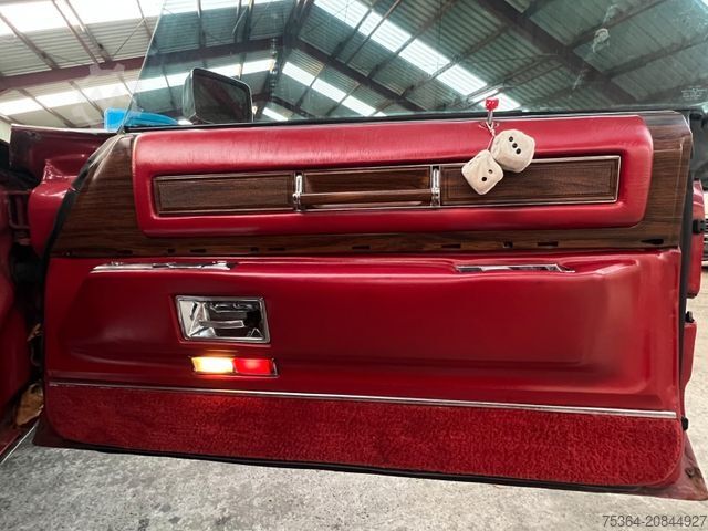 Van CADILLAC Eldorado 8.2 V8 160 KW LPG Gas Chrom Klima