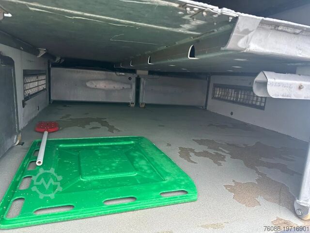 Cattle transport Berdex NO BERDEX HMK 4 stock livestock trailer SPF