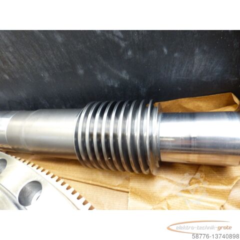 Component  Gleason-Pfauter 0/360.10.133.01 Schneckenrad u. Schneckenwelle - ! -