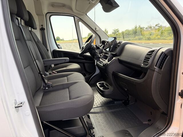 Panel van Fiat Ducato