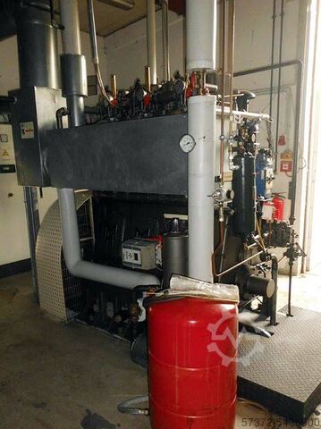 Combined Heat and Power Plant HERFORD/ MARELLI 