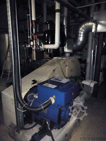 Combined Heat and Power Plant HERFORD/ MARELLI