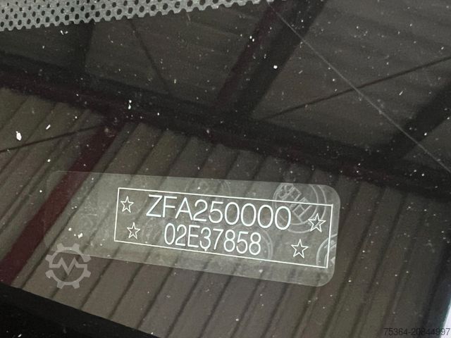 Kleinbus FIAT Ducato 3.0 Natural Power/CNG/Benzin 9 Sitze Pdc